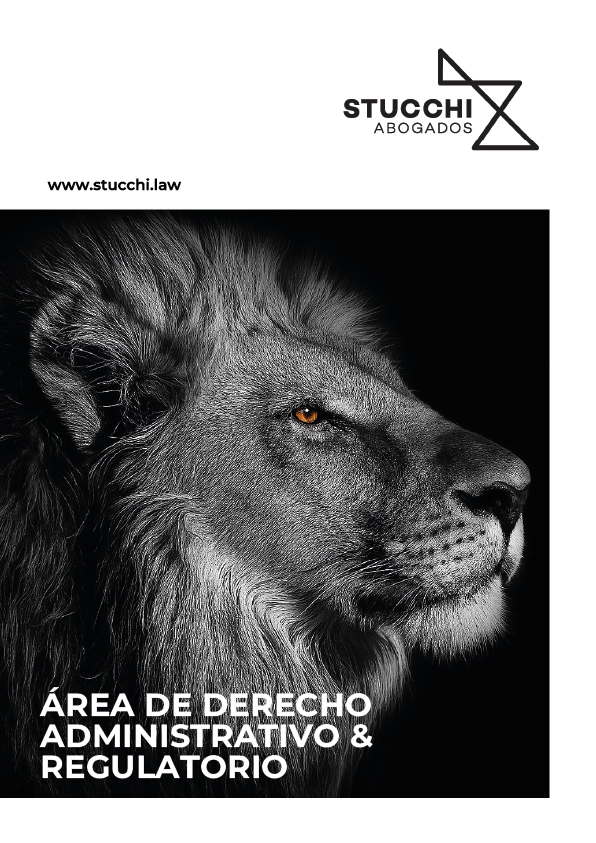 BROCHURE STUCCHI ABOGADOS 16_06}_25_Mesa de trabajo 1